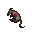 Dead Rat